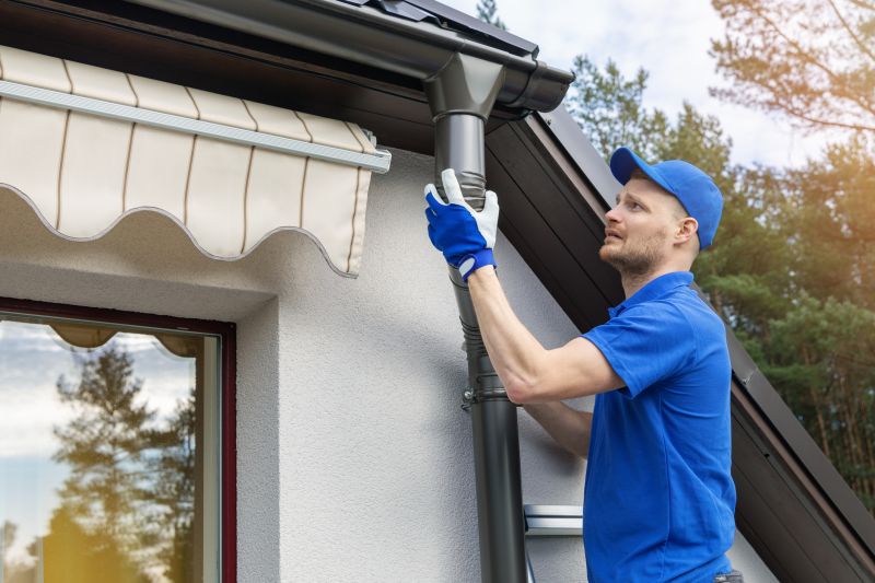 Gutter and Roof Maintenance